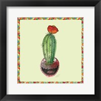 Framed Rainbow Cactus I