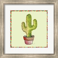 Framed Rainbow Cactus II