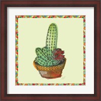 Framed Rainbow Cactus III