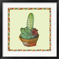 Framed Rainbow Cactus III