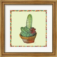 Framed Rainbow Cactus III