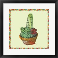 Framed Rainbow Cactus III