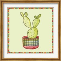 Framed Rainbow Cactus IV