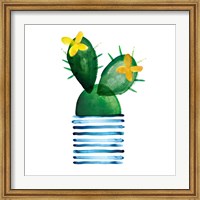 Framed Colorful Cactus I