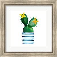 Framed Colorful Cactus I