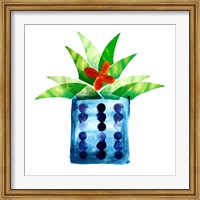 Framed Colorful Cactus VII