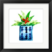 Framed Colorful Cactus VII