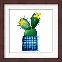 Framed Colorful Cactus VIII