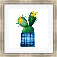Framed Colorful Cactus VIII
