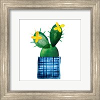 Framed Colorful Cactus VIII