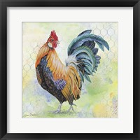 Framed Watercolor Rooster - D