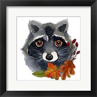 Framed 'Raccoon' border=
