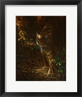Framed Tiger Odyssey