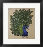 Framed Peacock Stitched