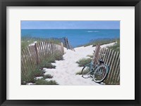 Framed Beach Bike