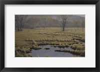 Framed Spring Pasture - Mallard Pair