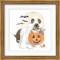 Framed Halloween Pets III