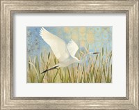Framed Snowy Egret in Flight v2