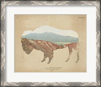 Framed American Southwest Buffalo Distressed