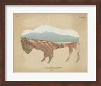 Framed American Southwest Buffalo Distressed