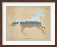 Framed American Southwest Horse Distressed