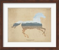 Framed American Southwest Horse Distressed
