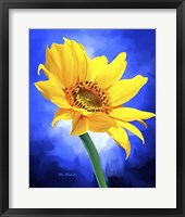 Framed Sun Flower