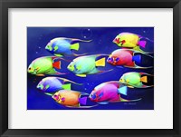 Framed Colorful Fishes 2