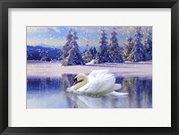 Framed Swan Winter