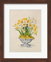 Framed Blue and White Porcelain Daffodils