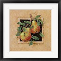 Framed 'Pear Square' border=