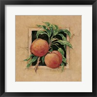 Framed 'Peach Square' border=