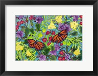 Framed Rainbows & Butterflies