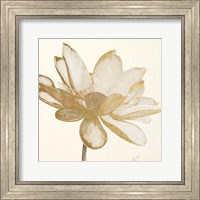 Framed Vintage Lotus Cream I