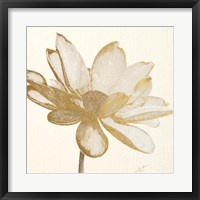 Framed Vintage Lotus Cream I