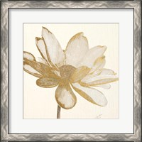 Framed Vintage Lotus Cream I