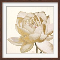 Framed Vintage Lotus Cream II