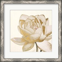 Framed Vintage Lotus Cream II
