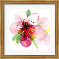 Framed Floral Beauty I