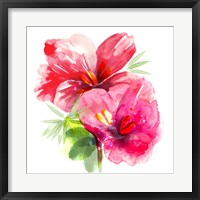 Framed Floral Beauty II