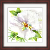 Framed Floral Beauty III