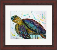 Framed Sea Turtle w/paint splotches