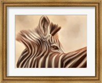 Framed Zebra Looking Over Shoulder