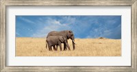 Framed Elephant and her Calf