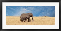 Framed Elephant and her Calf