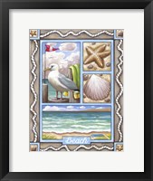 Framed Beach Seagull