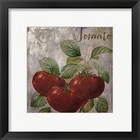 Framed 'Medley Gold Tomato' border=