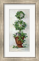 Framed Ivy Topiary II