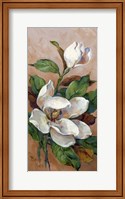 Framed Magnolia Accents II