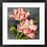 Framed 'Pink Tulips' border=